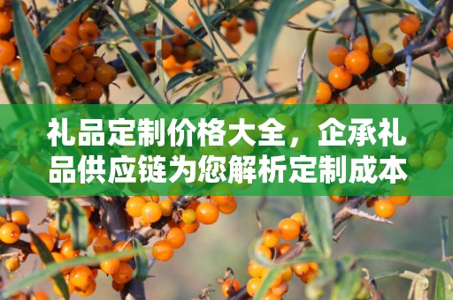礼品定制价格大全，企承礼品供应链为您解析定制成本