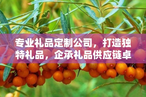 专业礼品定制公司，打造独特礼品，企承礼品供应链卓越服务