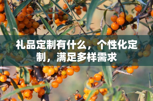 礼品定制有什么，个性化定制，满足多样需求