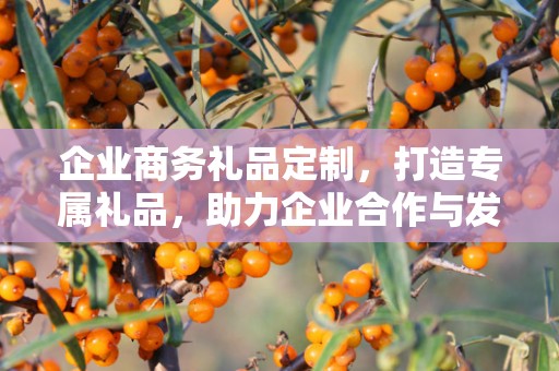 企业商务礼品定制，打造专属礼品，助力企业合作与发展