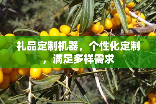 礼品定制机器，个性化定制，满足多样需求