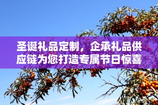 圣诞礼品定制，企承礼品供应链为您打造专属节日惊喜