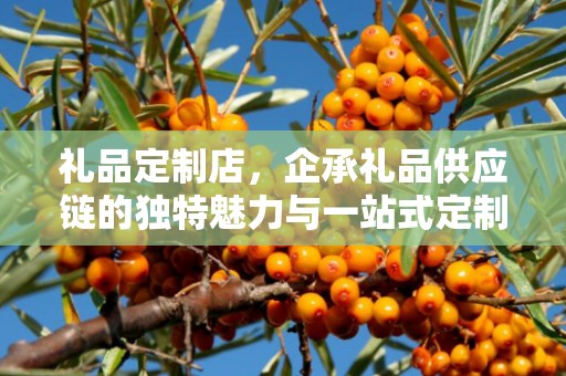 礼品定制店，企承礼品供应链的独特魅力与一站式定制体验