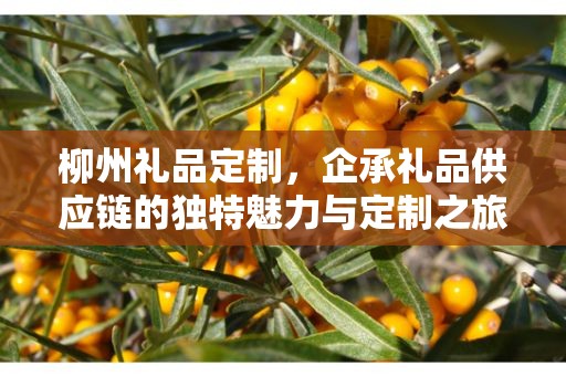 柳州礼品定制，企承礼品供应链的独特魅力与定制之旅