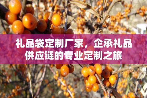 礼品袋定制厂家，企承礼品供应链的专业定制之旅