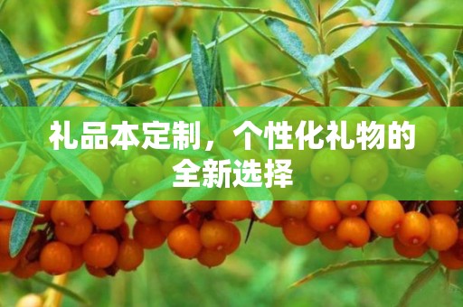 礼品本定制，个性化礼物的全新选择