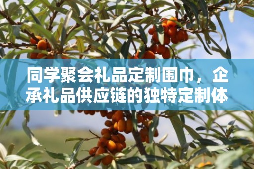 同学聚会礼品定制围巾，企承礼品供应链的独特定制体验