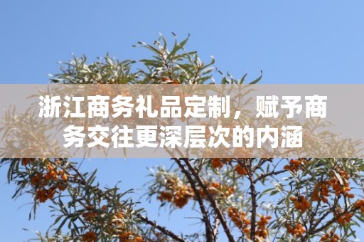 浙江商务礼品定制，赋予商务交往更深层次的内涵