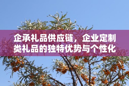 企承礼品供应链，企业定制类礼品的独特优势与个性化服务