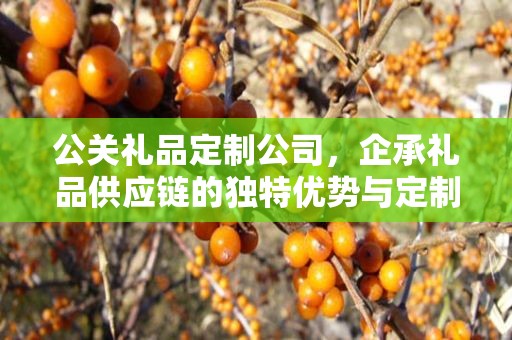 公关礼品定制公司，企承礼品供应链的独特优势与定制化服务体验