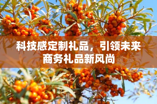 科技感定制礼品，引领未来商务礼品新风尚