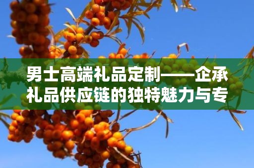 男士高端礼品定制——企承礼品供应链的独特魅力与专属定制体验