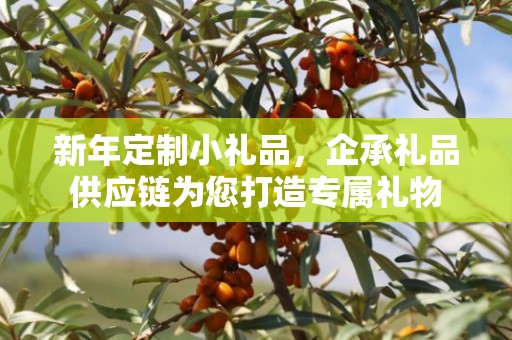新年定制小礼品，企承礼品供应链为您打造专属礼物