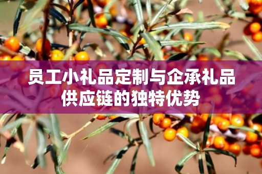 员工小礼品定制与企承礼品供应链的独特优势