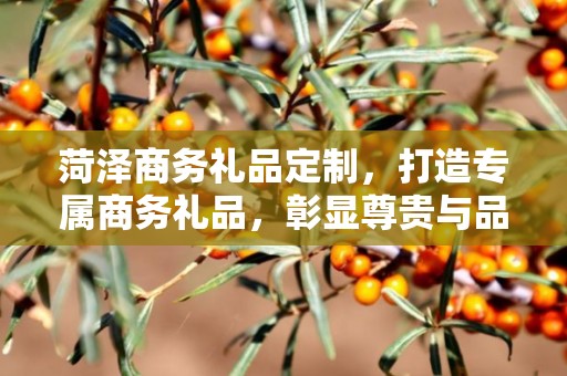 菏泽商务礼品定制，打造专属商务礼品，彰显尊贵与品味