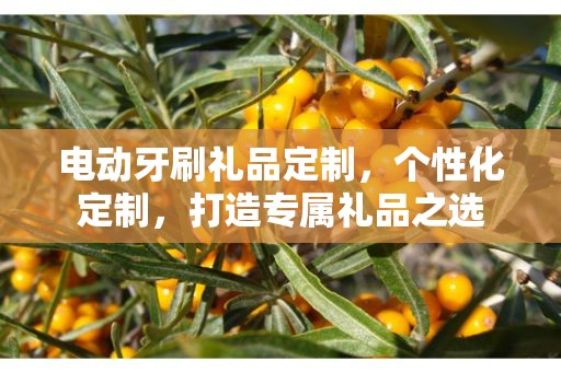 电动牙刷礼品定制，个性化定制，打造专属礼品之选