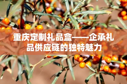 重庆定制礼品盒——企承礼品供应链的独特魅力
