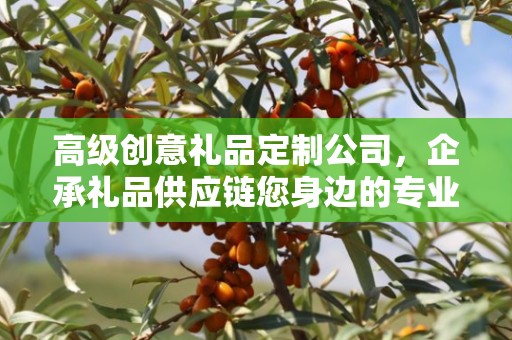 高级创意礼品定制公司，企承礼品供应链您身边的专业礼品定制公司