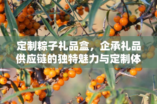 定制粽子礼品盒，企承礼品供应链的独特魅力与定制体验