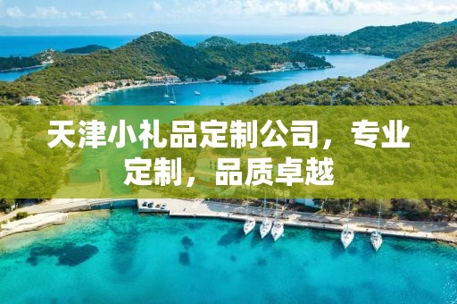 天津小礼品定制公司，专业定制，品质卓越