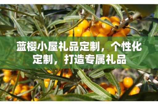 蓝樱小屋礼品定制，个性化定制，打造专属礼品