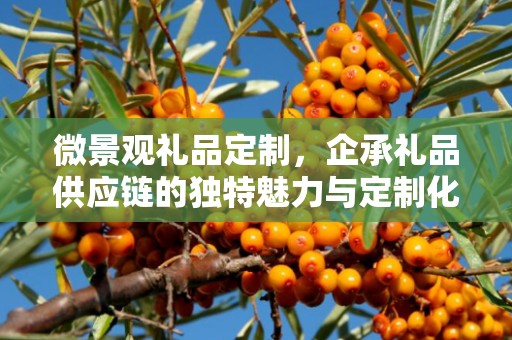 微景观礼品定制，企承礼品供应链的独特魅力与定制化体验