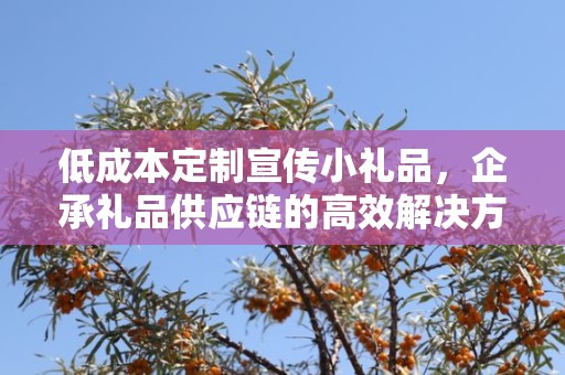 低成本定制宣传小礼品，企承礼品供应链的高效解决方案