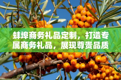 蚌埠商务礼品定制，打造专属商务礼品，展现尊贵品质