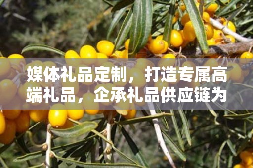 媒体礼品定制，打造专属高端礼品，企承礼品供应链为您呈现卓越品质