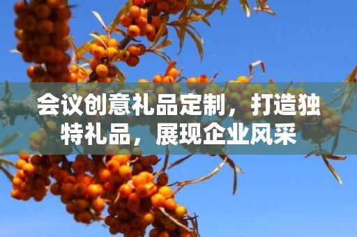 会议创意礼品定制，打造独特礼品，展现企业风采