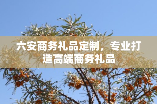 六安商务礼品定制，专业打造高端商务礼品