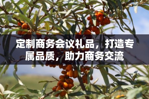 定制商务会议礼品，打造专属品质，助力商务交流