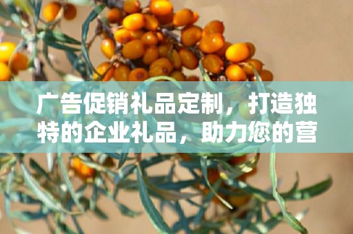 广告促销礼品定制，打造独特的企业礼品，助力您的营销战略