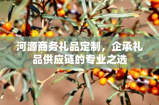 河源商务礼品定制，企承礼品供应链商务礼品定制公司