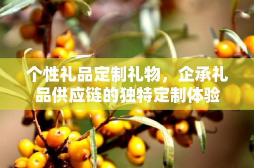 个性礼品定制礼物，企承礼品供应链的独特定制体验