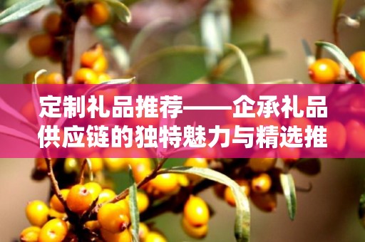 定制礼品推荐——企承礼品供应链的独特魅力与精选推荐