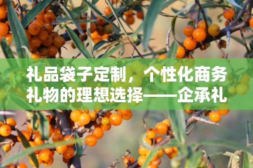 礼品袋子定制，个性化商务礼物的理想选择——企承礼品供应链公司介绍