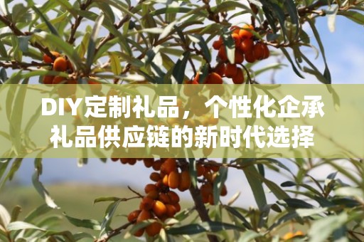 DIY定制礼品，个性化企承礼品供应链的新时代选择