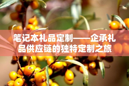 笔记本礼品定制——企承礼品供应链的独特定制之旅