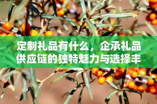 定制礼品有什么，企承礼品供应链的独特魅力与选择丰富性