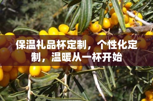 保温礼品杯定制，个性化定制，温暖从一杯开始