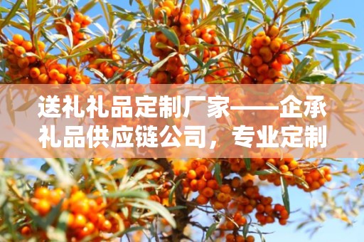 送礼礼品定制厂家——企承礼品供应链公司，专业定制，品质至上