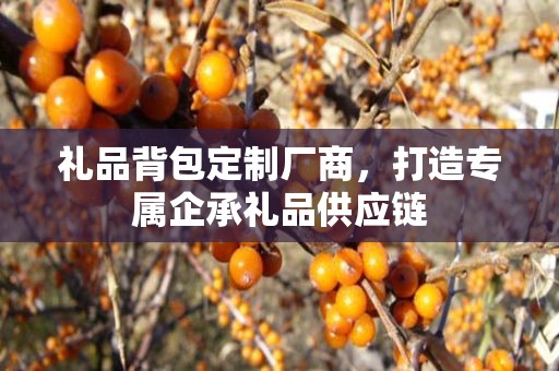 礼品背包定制厂商，打造专属企承礼品供应链