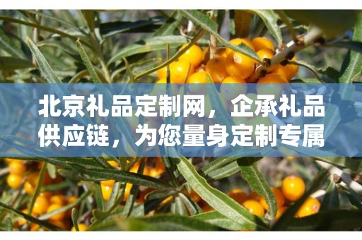 北京礼品定制网，企承礼品供应链，为您量身定制专属礼品