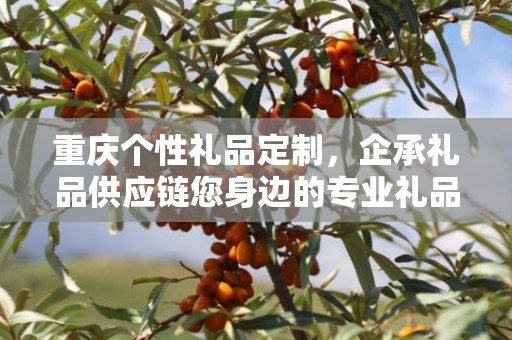 重庆个性礼品定制，企承礼品供应链您身边的专业礼品定制公司