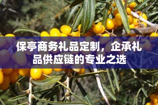 保亭商务礼品定制，企承礼品供应链您身边的专业礼品定制公司