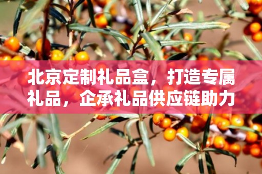 北京定制礼品盒，打造专属礼品，企承礼品供应链助力商务礼品定制