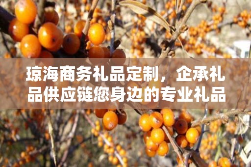 琼海商务礼品定制，企承礼品供应链您身边的专业礼品定制公司