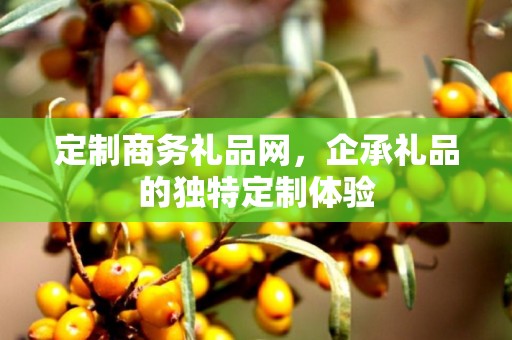 定制商务礼品网，企承礼品的独特定制体验