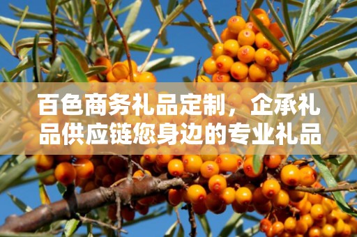 百色商务礼品定制，企承礼品供应链您身边的专业礼品定制公司